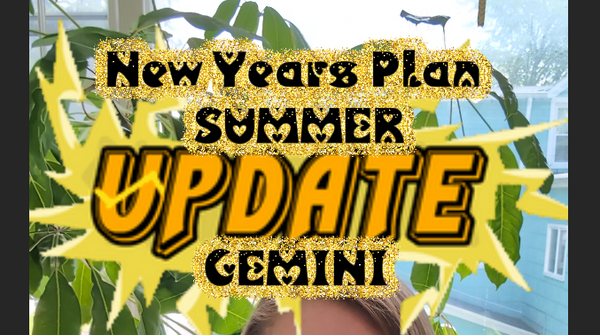 Summer Update: Gemini Moon 🎉 New Years Plan